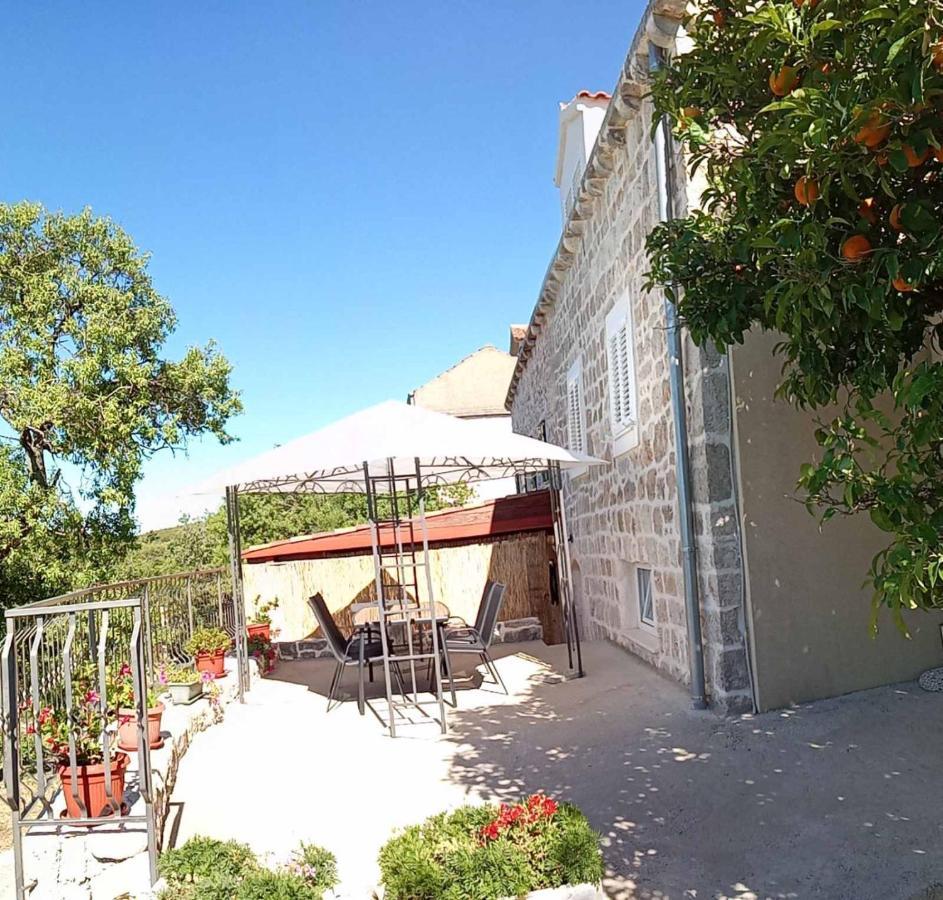 Babino Polje Holiday Apartments Maslina Paho מראה חיצוני תמונה