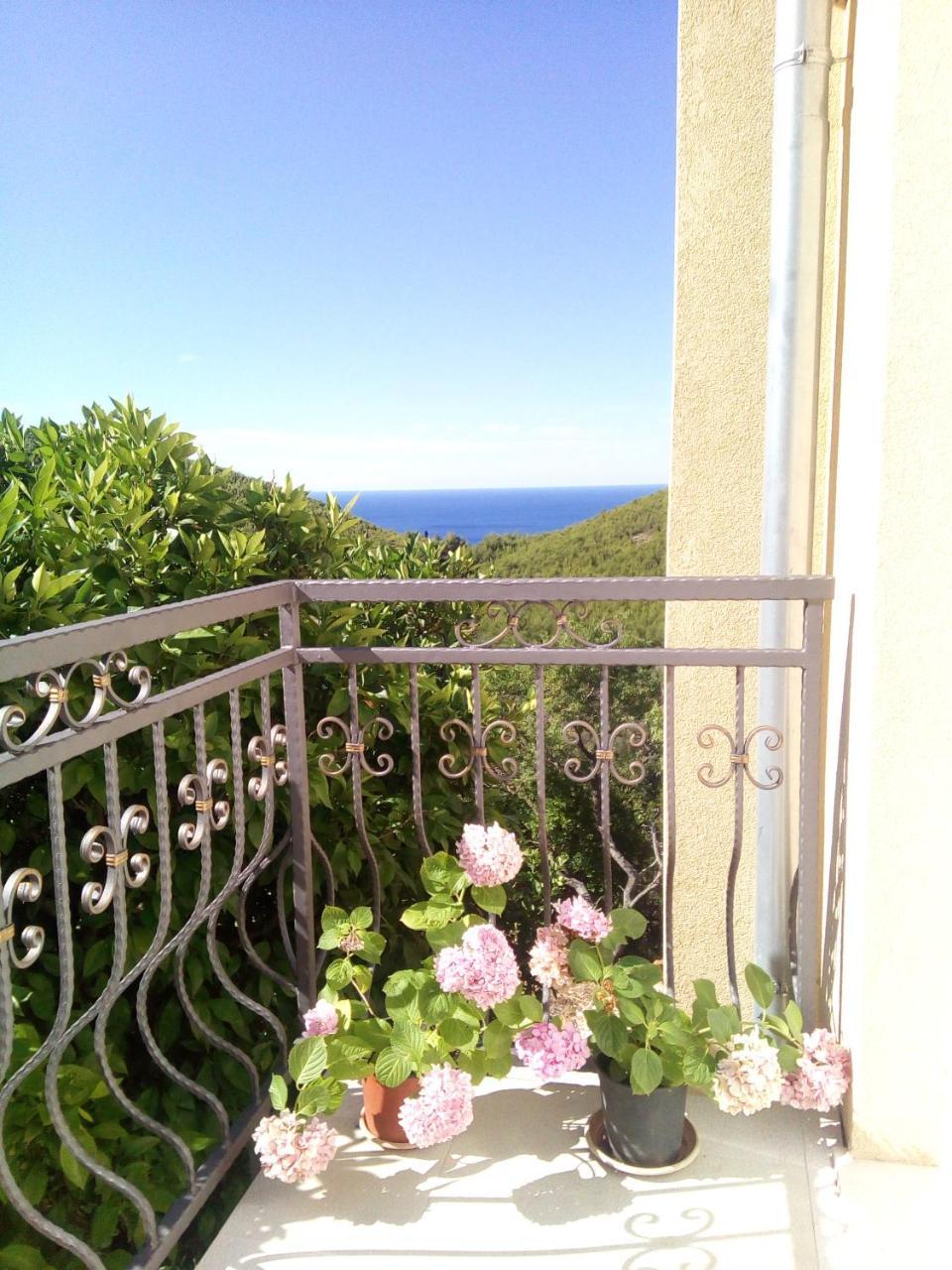 Babino Polje Holiday Apartments Maslina Paho מראה חיצוני תמונה