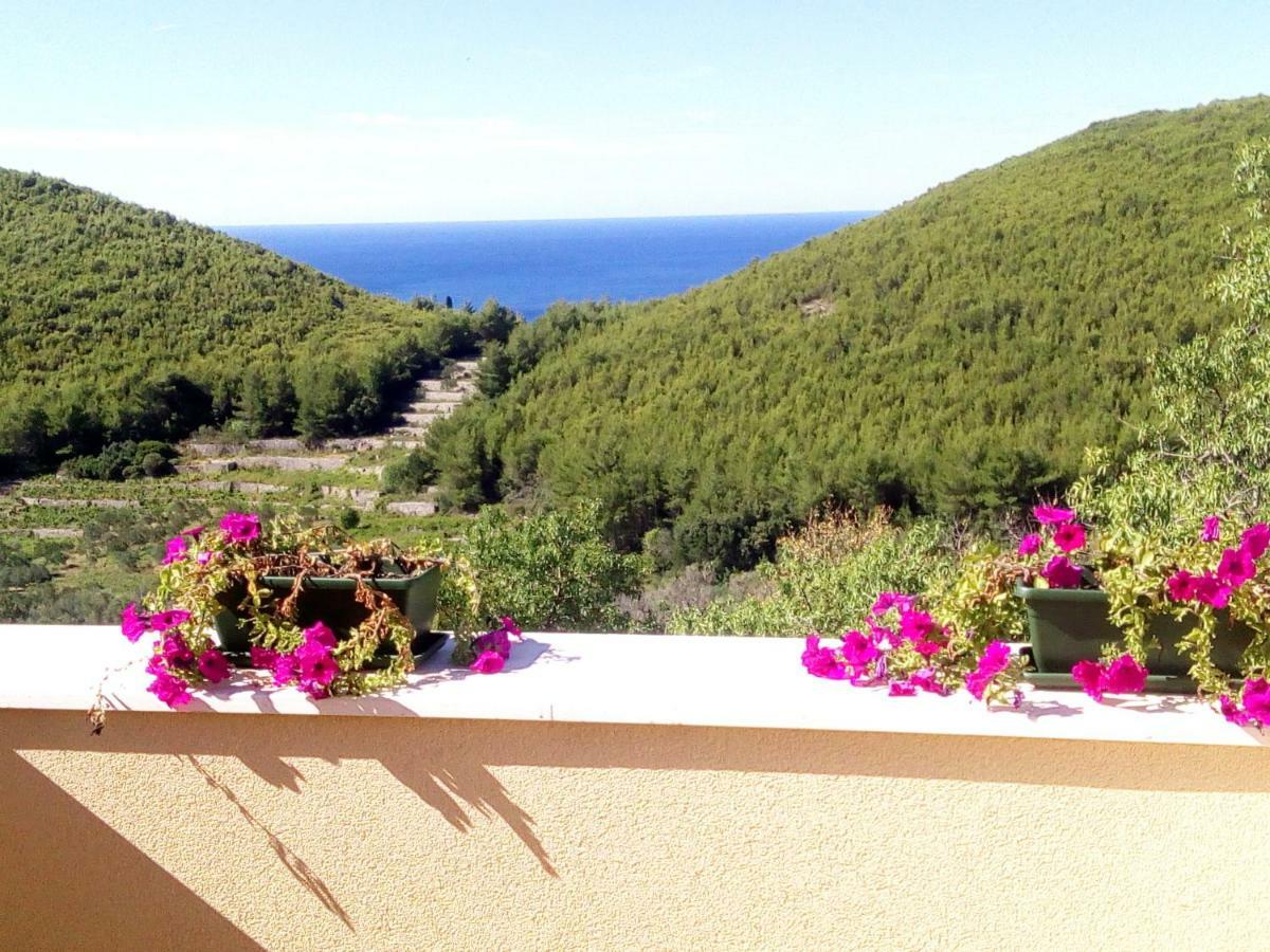 Babino Polje Holiday Apartments Maslina Paho מראה חיצוני תמונה